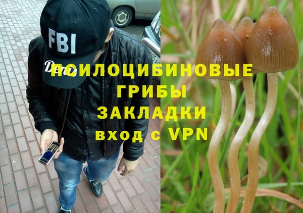 молекула духа Заволжье