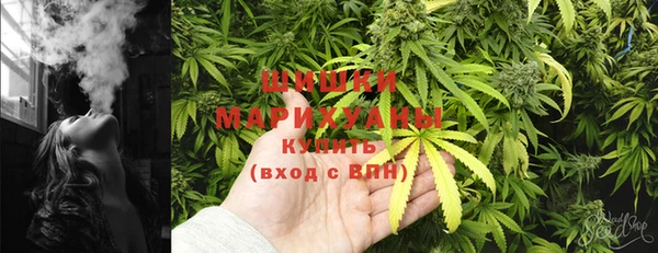 молекула духа Заволжье