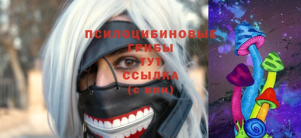 ПСИЛОЦИБИНОВЫЕ ГРИБЫ Заводоуковск