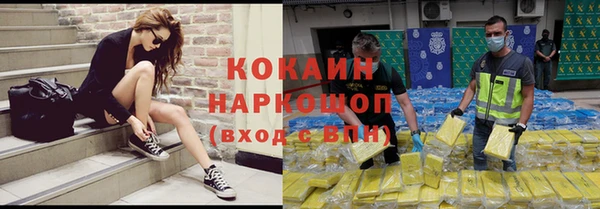 ПСИЛОЦИБИНОВЫЕ ГРИБЫ Заводоуковск