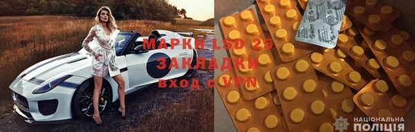 ПСИЛОЦИБИНОВЫЕ ГРИБЫ Заводоуковск