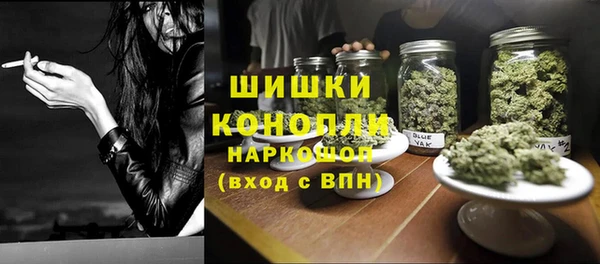 молекула духа Заволжье