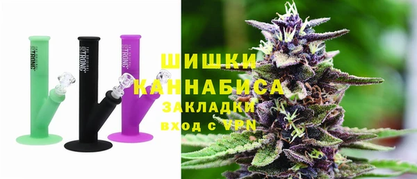 ПСИЛОЦИБИНОВЫЕ ГРИБЫ Заводоуковск