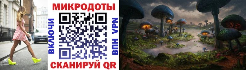 Галлюциногенные грибы Cubensis  Купить закладки  Новомичуринск 